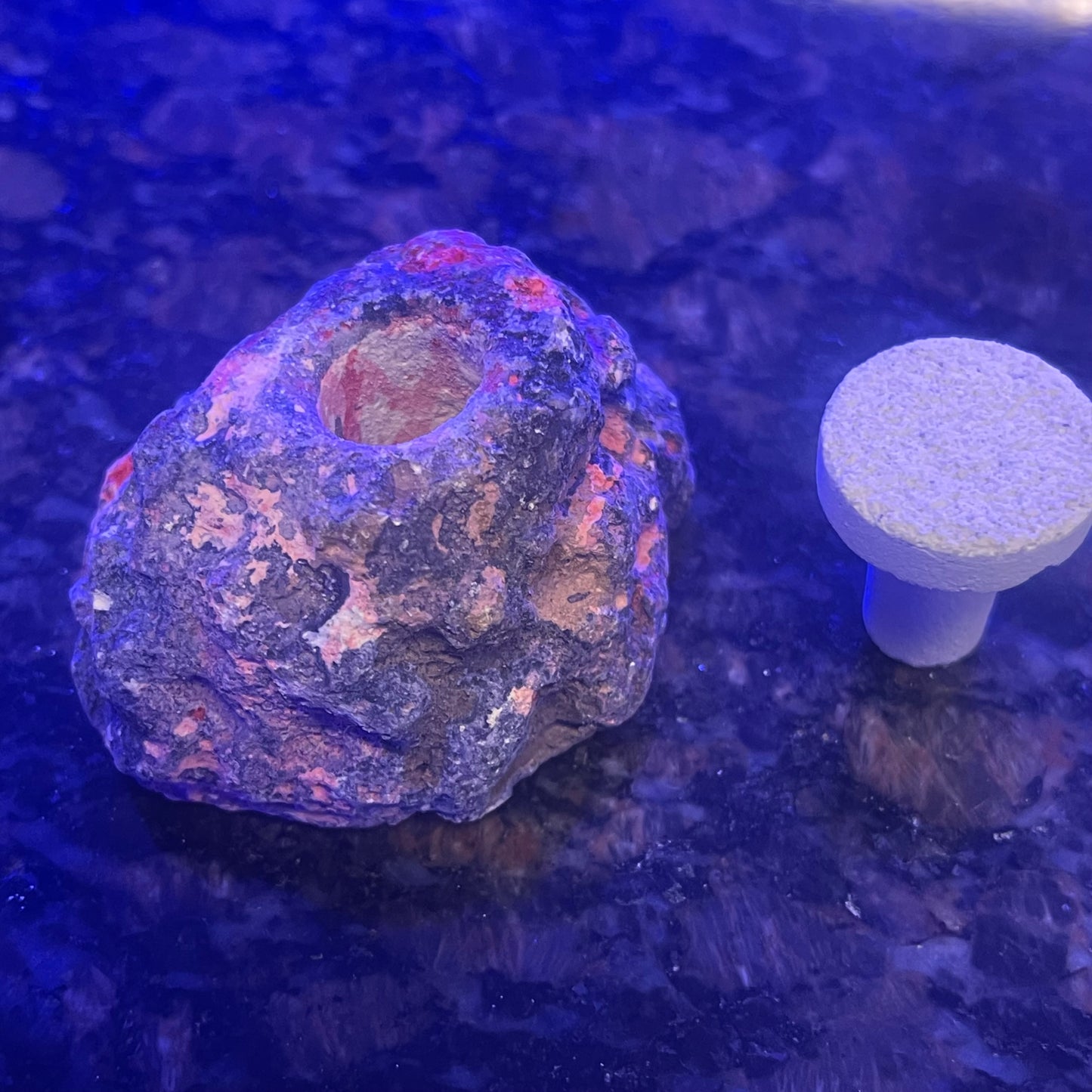 Frag Plug Holder -Live Rock