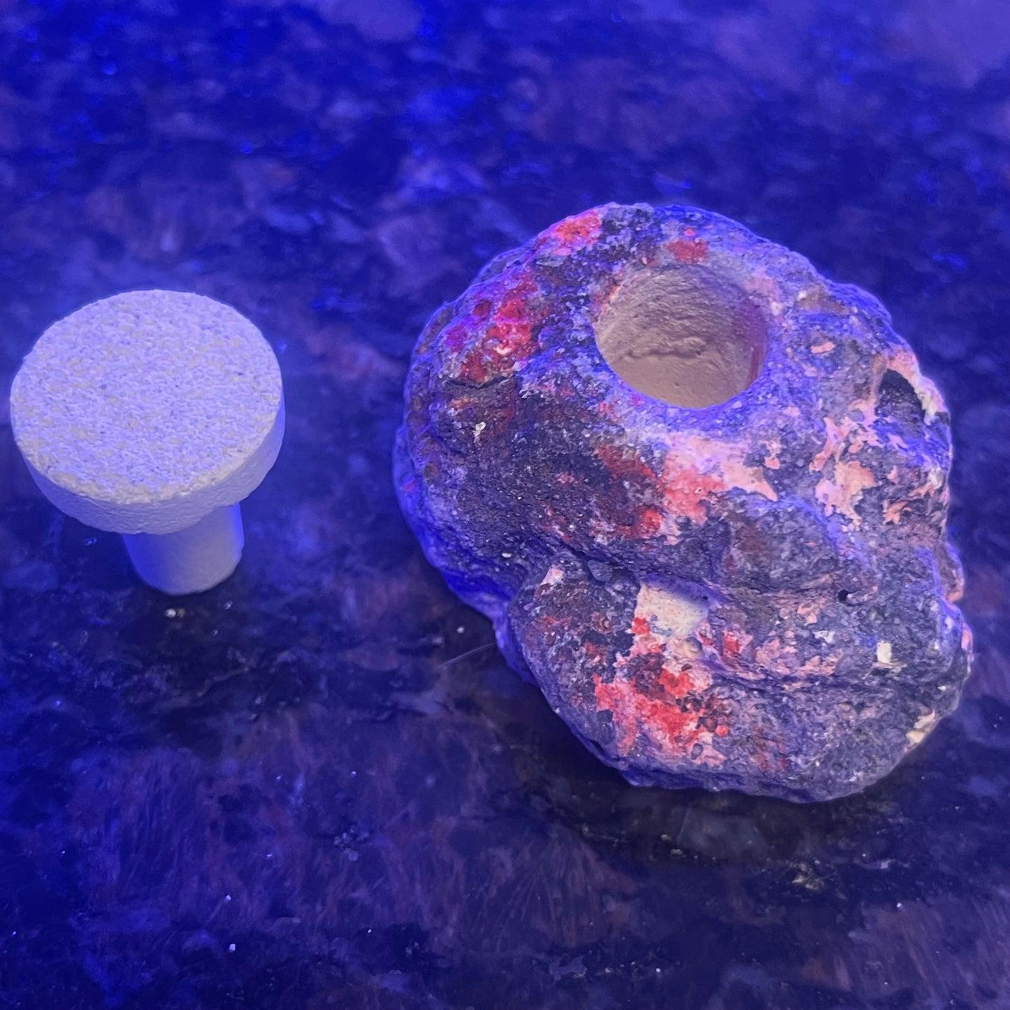 Frag Plug Holder -Live Rock