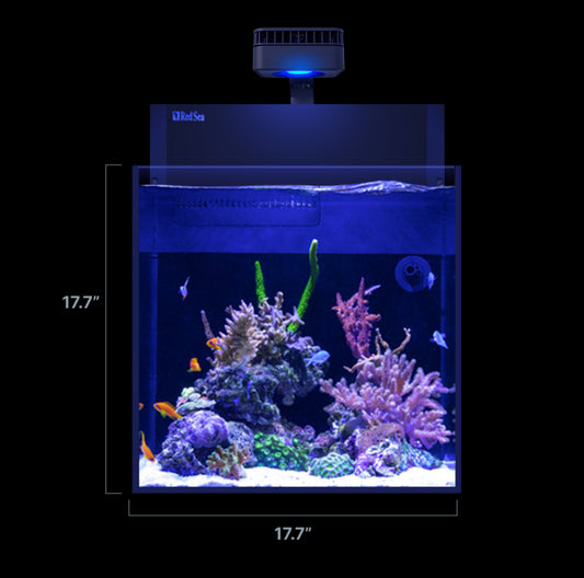 Red Sea Max Nano G2