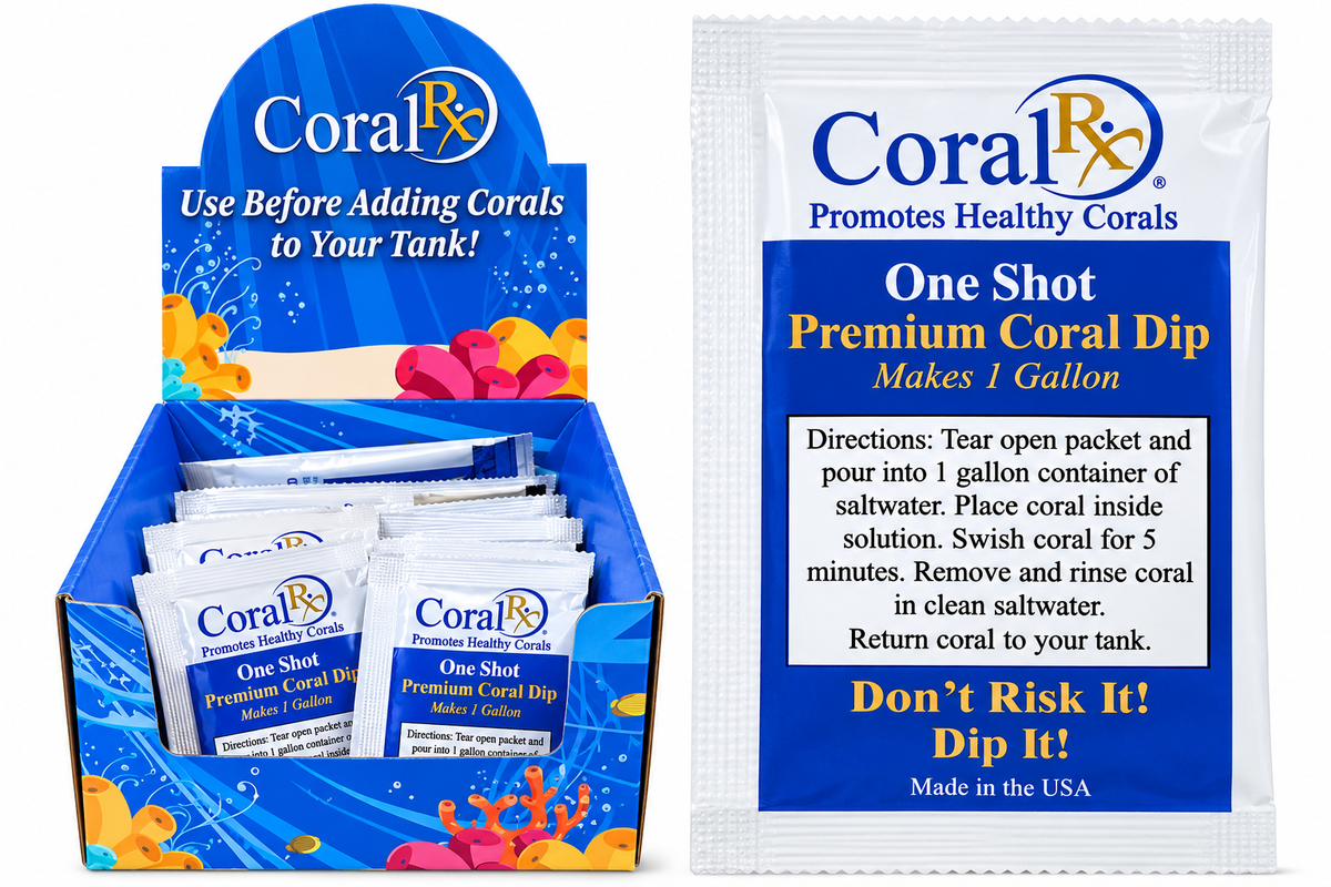 Coral RX One Shot Coral Dip