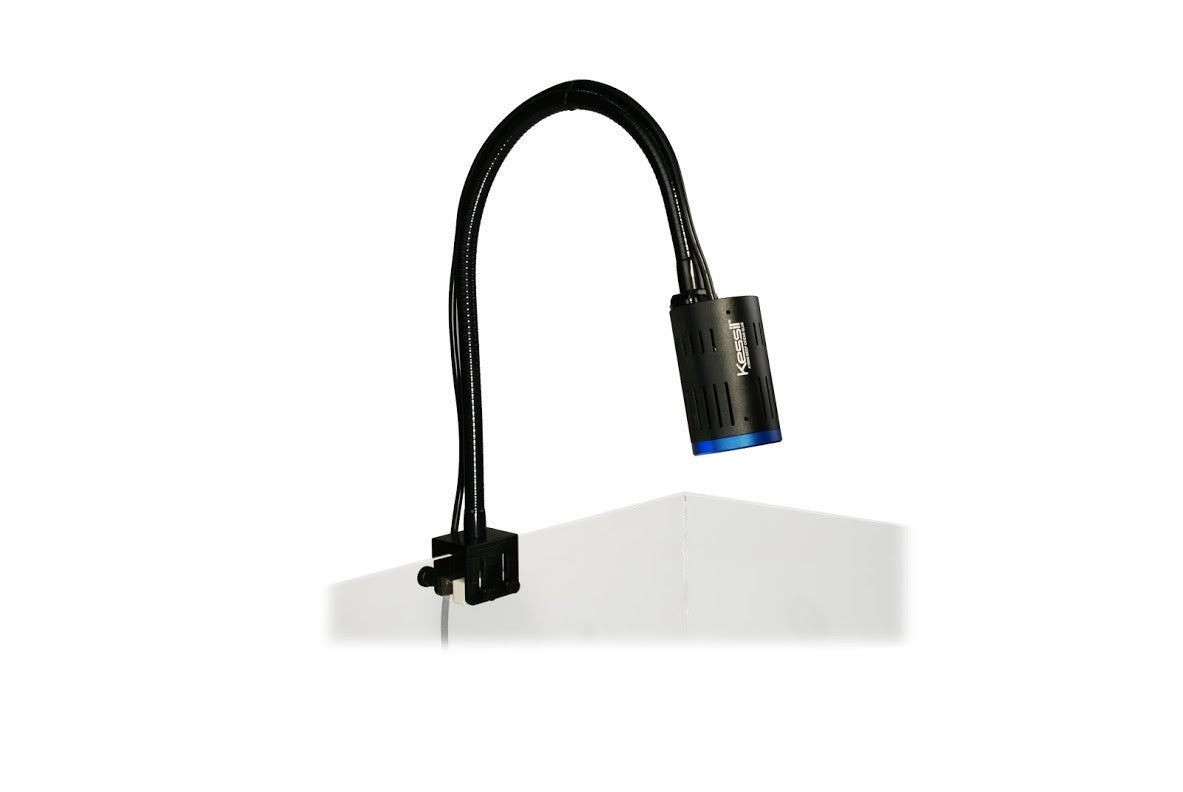 Kessil A-Series Gooseneck