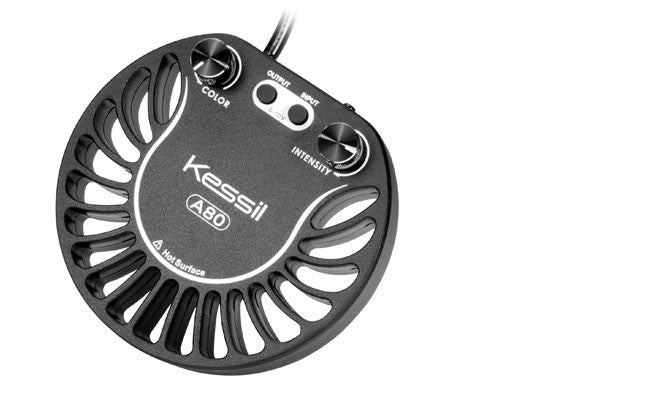 Kessil A80 Tuna Blue LED