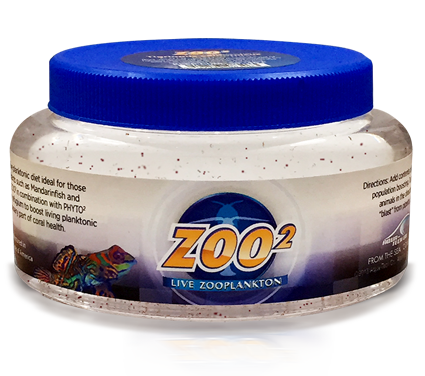 Zoo2 8-oz Live Zooplankton Copepods