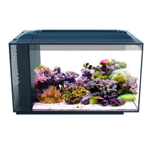 FLUVAL SEA EVO SALTWATER LED AQUARIUM KIT 13.5 US Gal