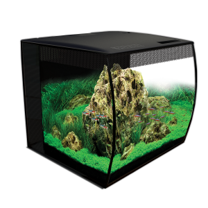 animatie statisch Peregrination Fluval Flex Aquarium Kit - 15 Gallons – Aqua Dreams