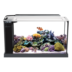 Fluval EVO V Marine Aquarium Kit