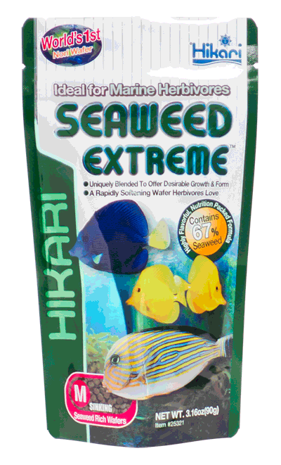 HIkari Seaweed Extreme Fish Food Pellet