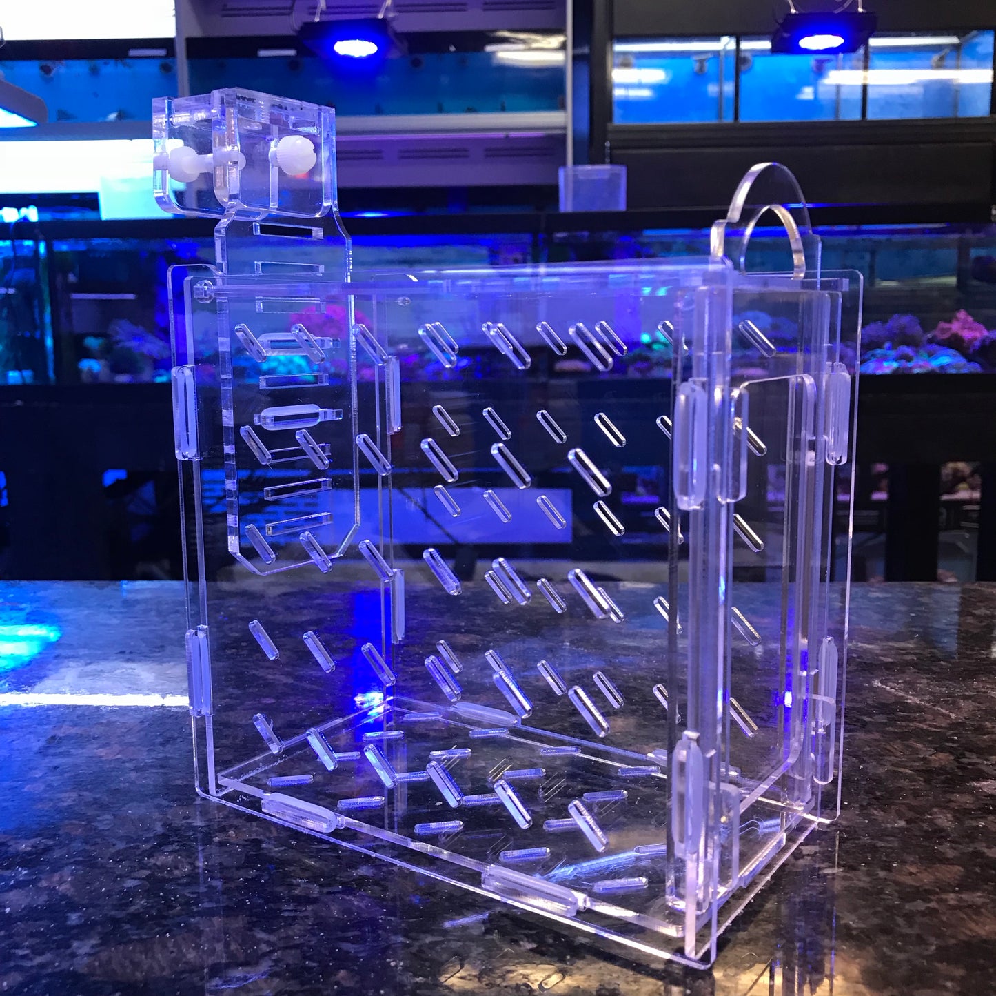 Seaside Aquatics - Collapsible Acclimation Box & Refugium