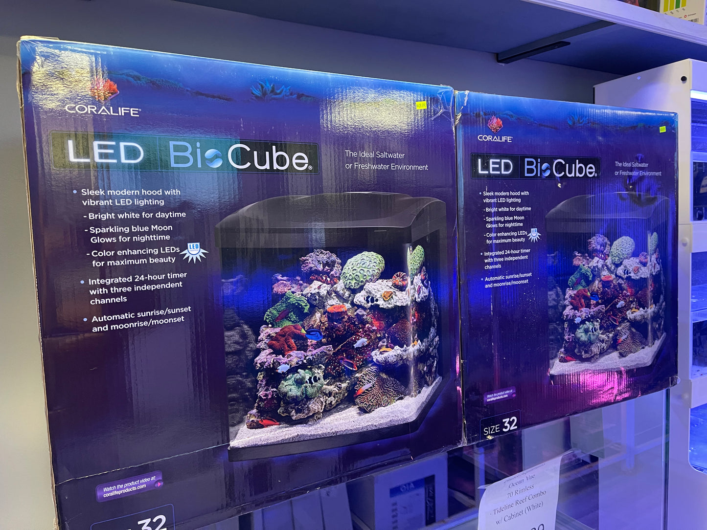 BioCube 32 Gallon LED Aquarium