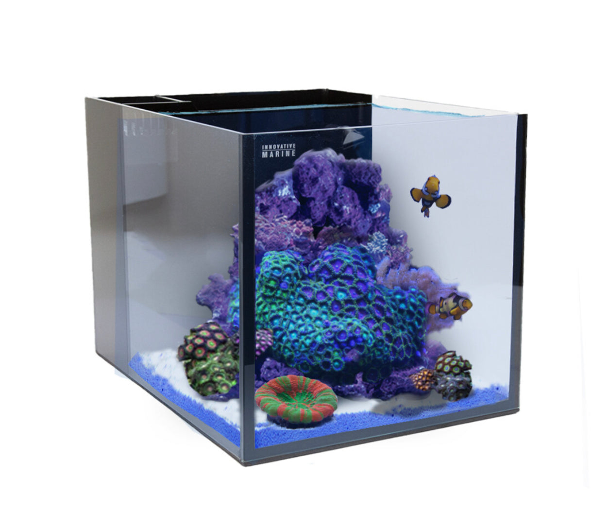 Innovative Marine 15 Gal AIO Aquarium