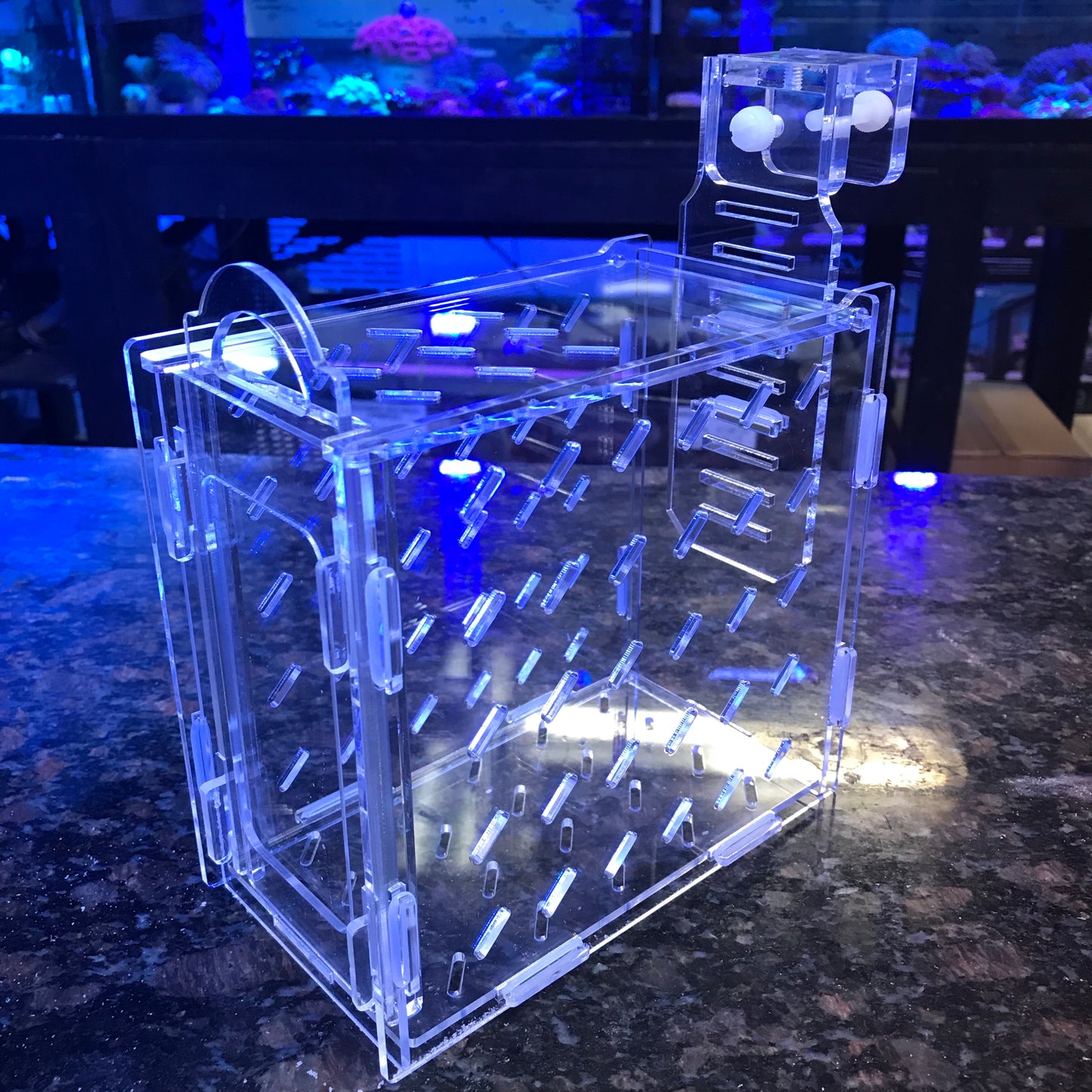 Seaside Aquatics - Collapsible Acclimation Box & Refugium