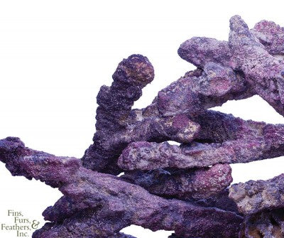 Carib Sea LIFE ROCK