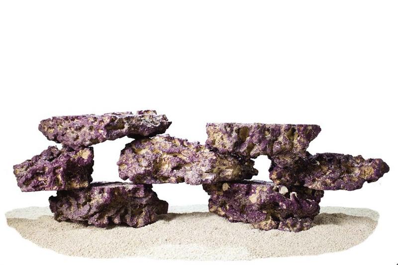 Carib Sea LIFE ROCK
