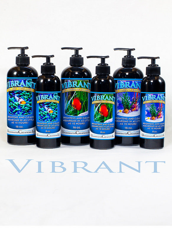 Vibrant Reef Aquarium Cleaner