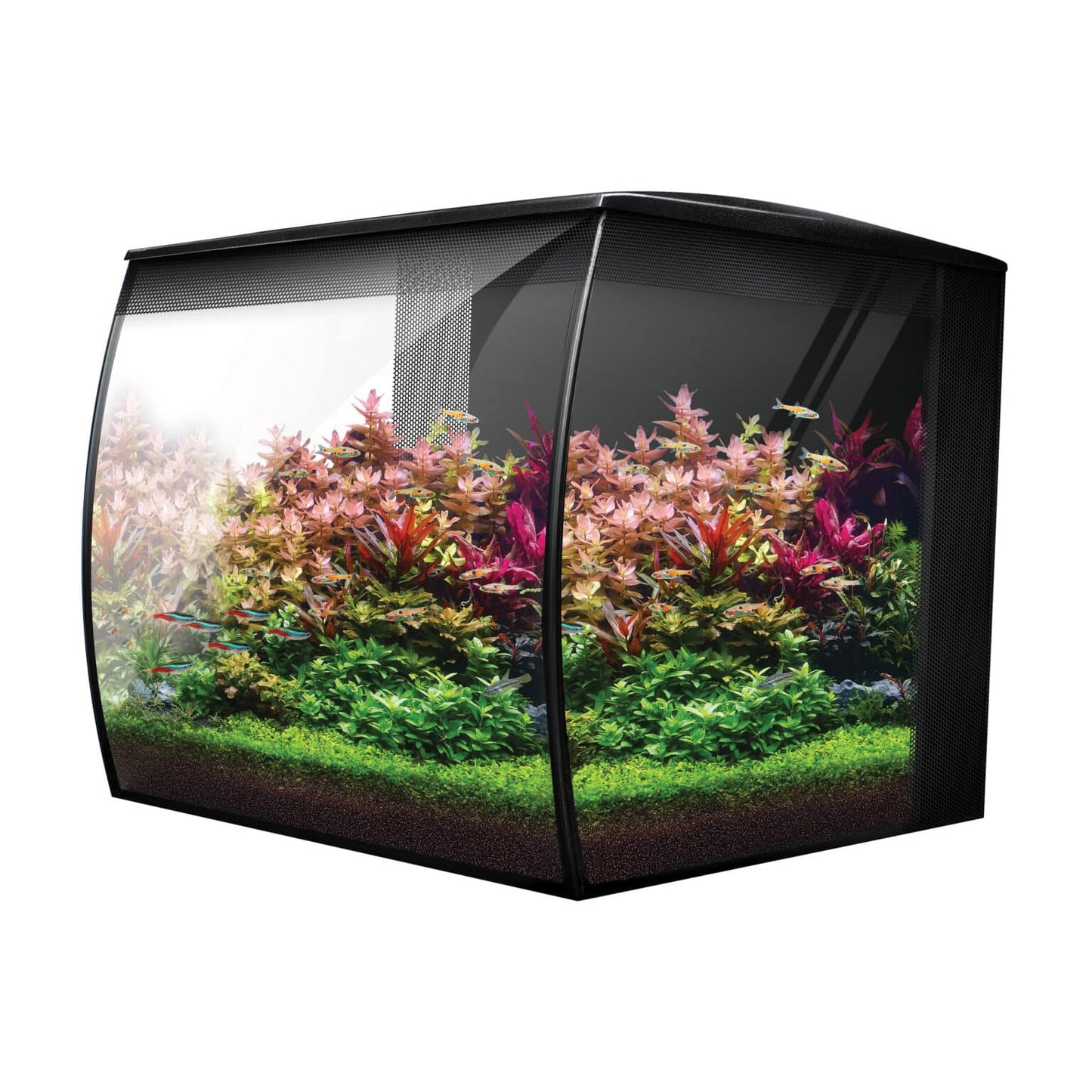 Fluval Flex 2.0 Freshwater Aquarium Kit 9 Gallon