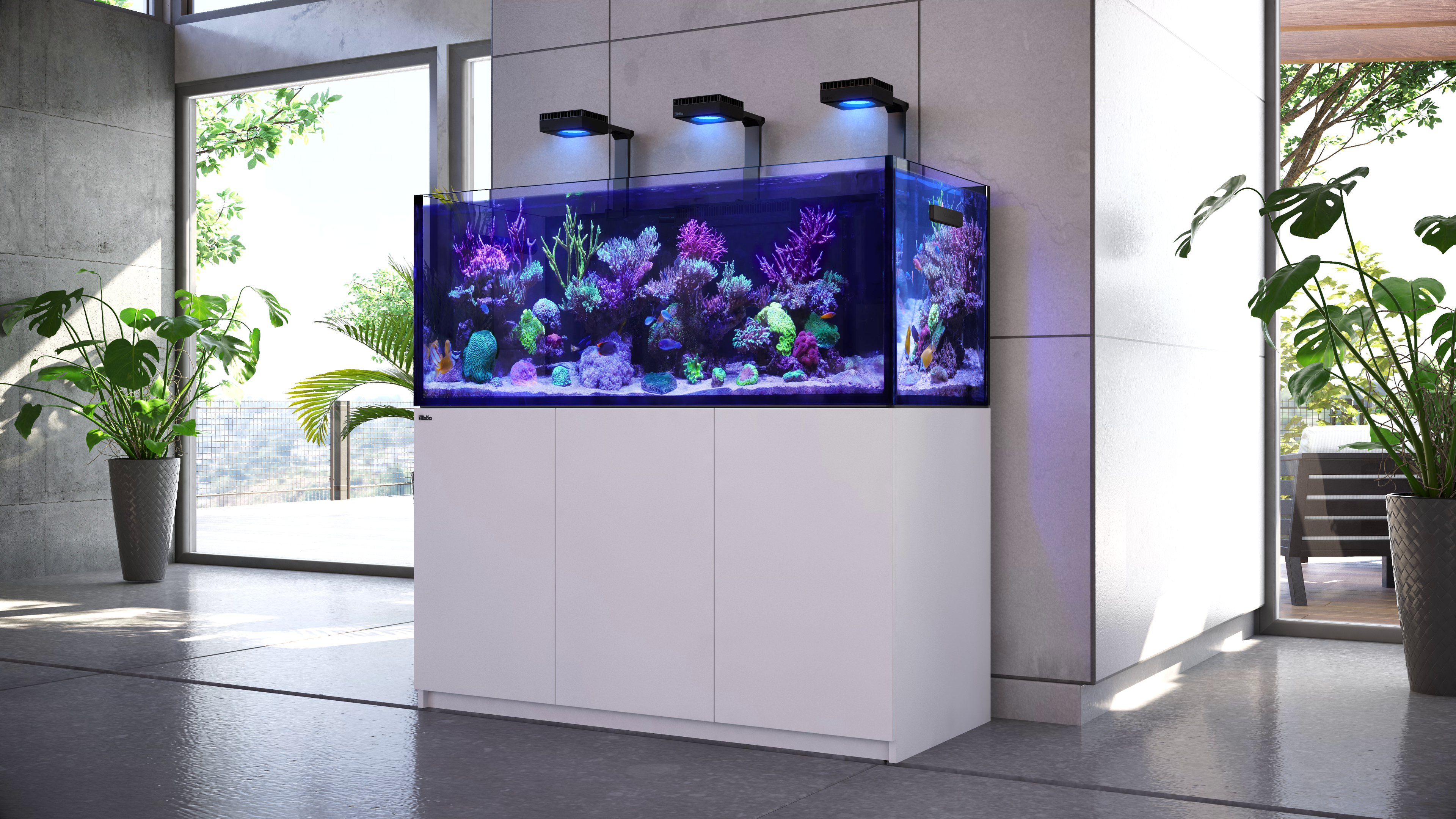 Reef & Saltwater Aquarium Specialists – Aqua Dreams