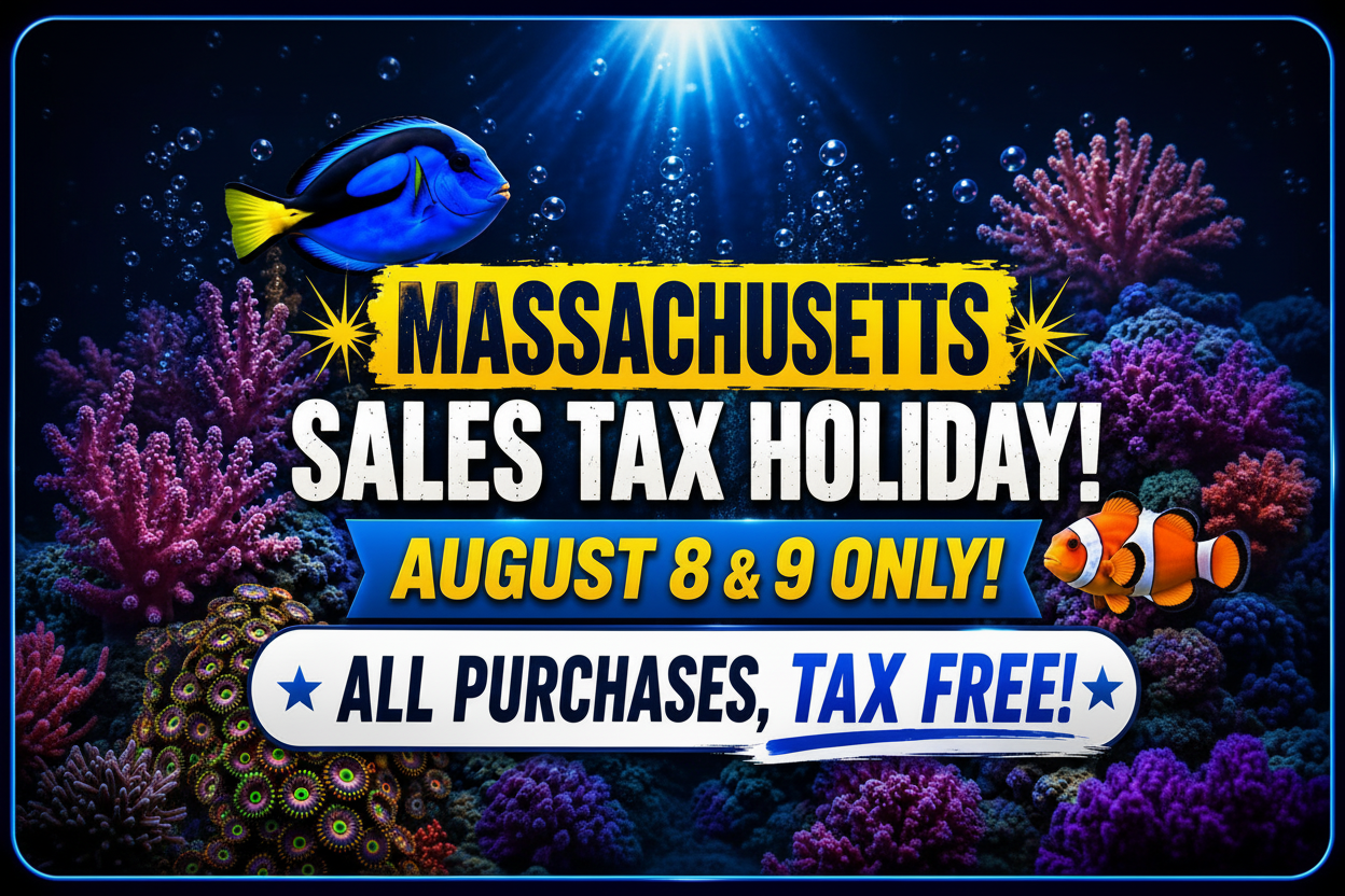 Aqua Dreams Sales Tax Holiday - Resized for Slideshow