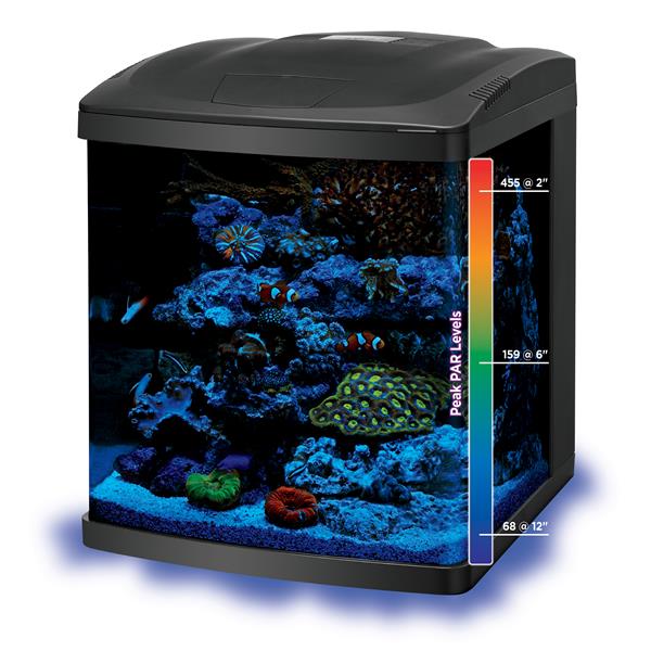 BioCube 32 Gallon LED Aquarium