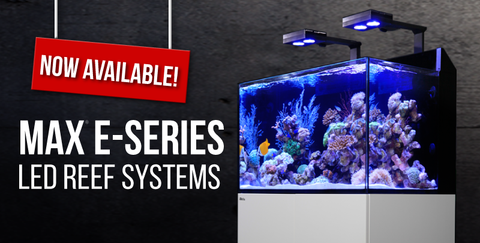 Red Max-E LED Aquarium Systems –