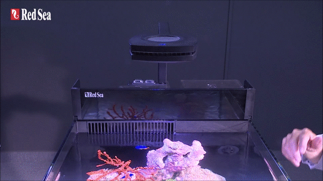 Red Sea Max Nano G2 Reef System – Aqua Dreams Red Sea Max Nano G2 Reef System – Aqua Dreams
