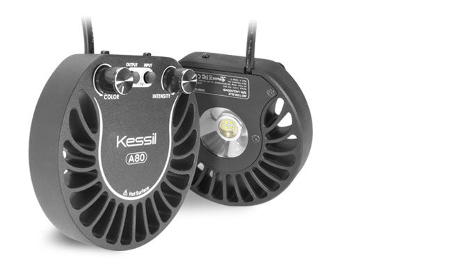 Kessil A80 Tuna Blue LED