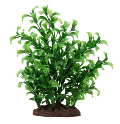 Plant Scapes Fluval Large Bacopa Plant 8"