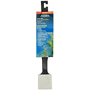 Marina Deep Reach Algae Scrub