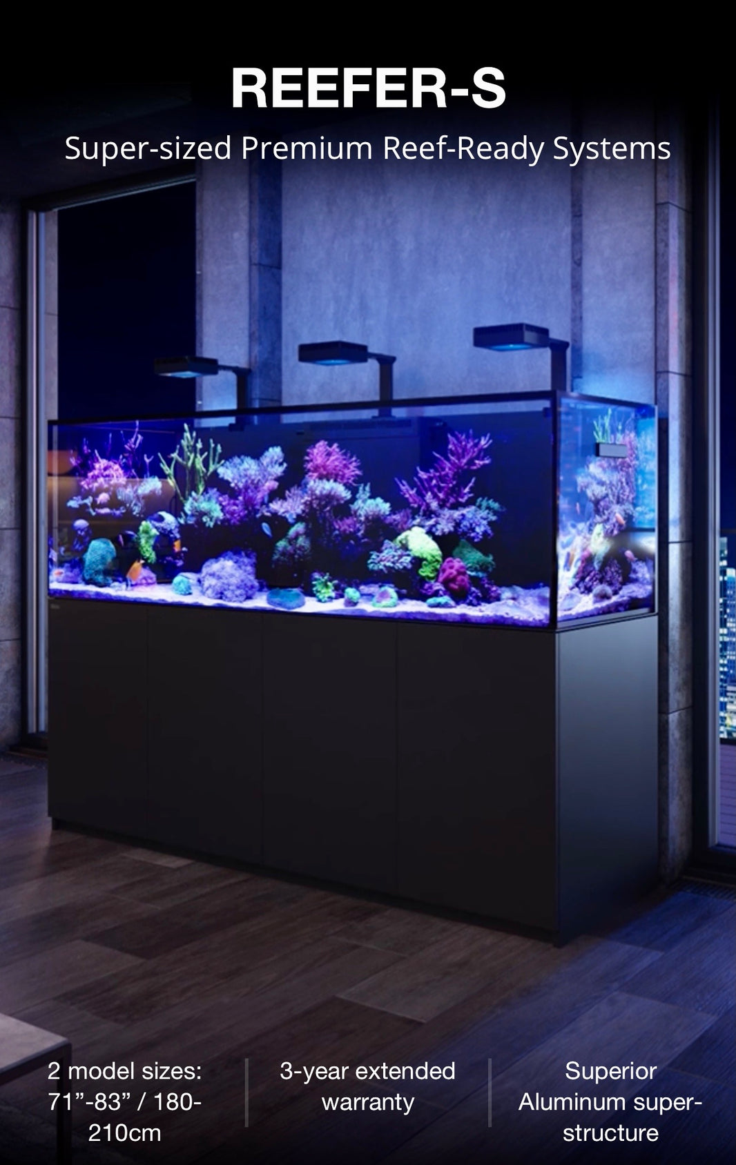 HOLIDAY AQUARIUM SPECIALS 2023 Aqua Dreams