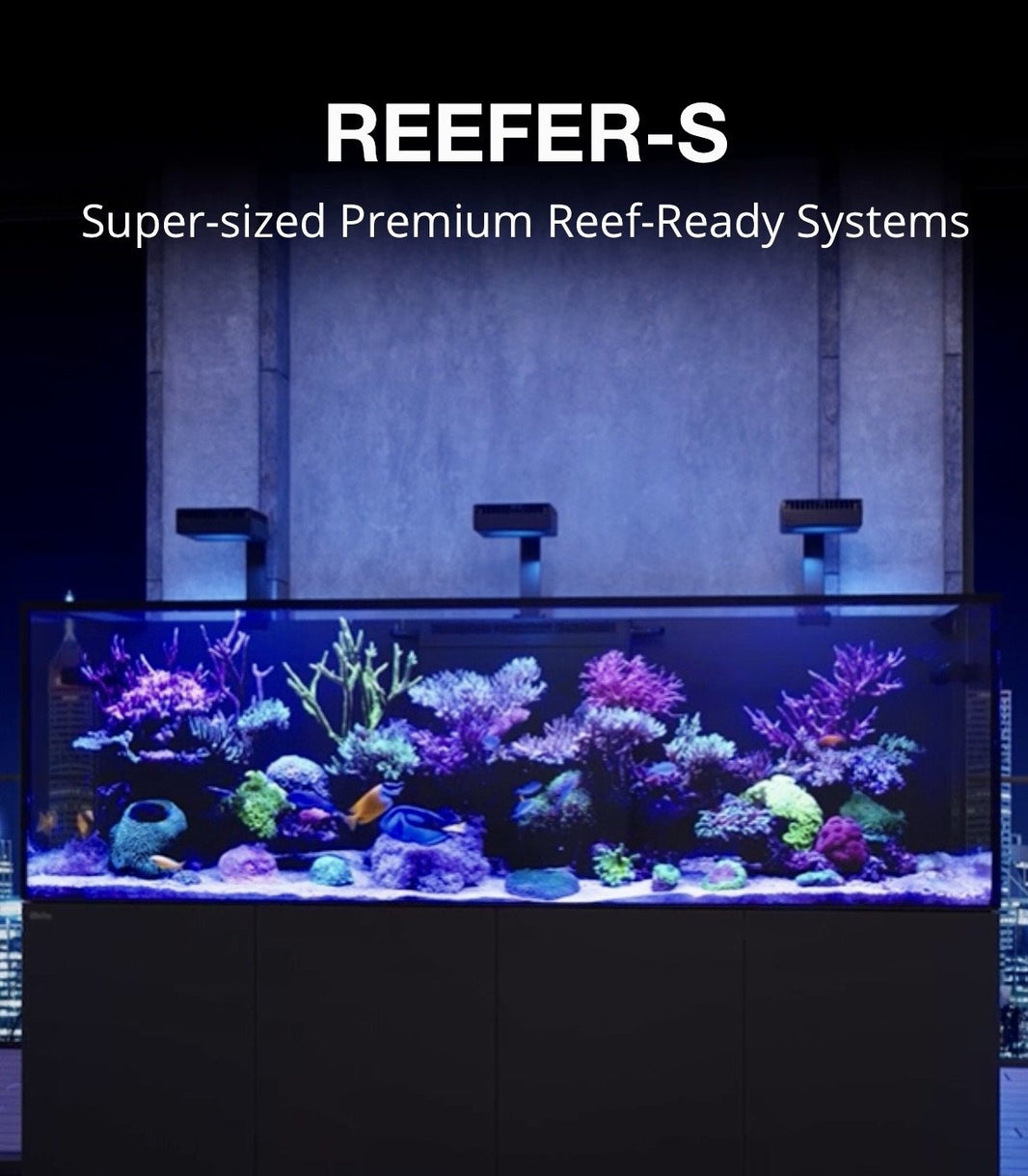HOLIDAY AQUARIUM SPECIALS 2023 Aqua Dreams