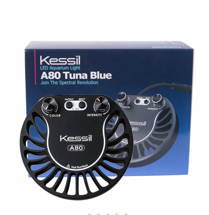 Kessil A80 Tuna Blue LED