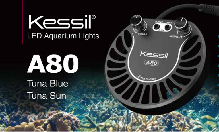 Kessil A80 Tuna Blue LED