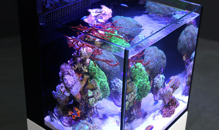 Red Sea Max Nano Reef System