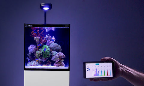 Red Sea Max Nano Reef System Aqua Dreams