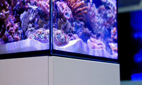 Red Sea Max Nano Reef System Aqua Dreams