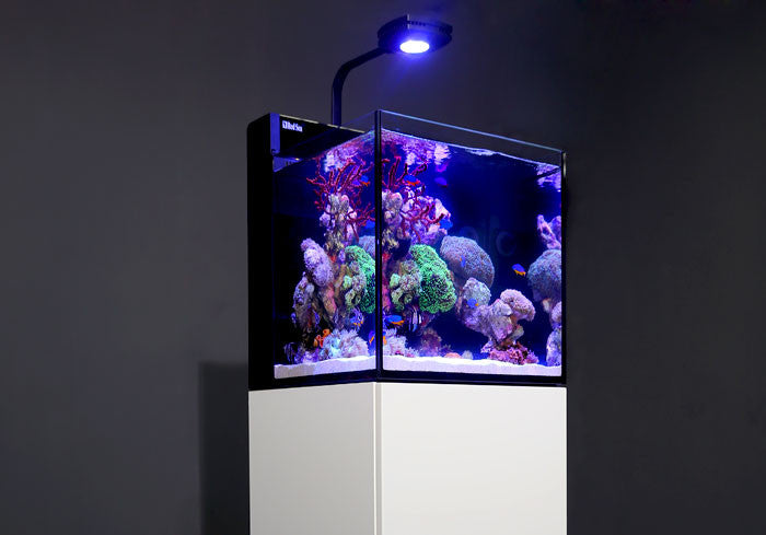 Red Sea Max Nano Reef System