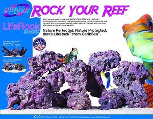 Carib Sea Life Rock / per lb.